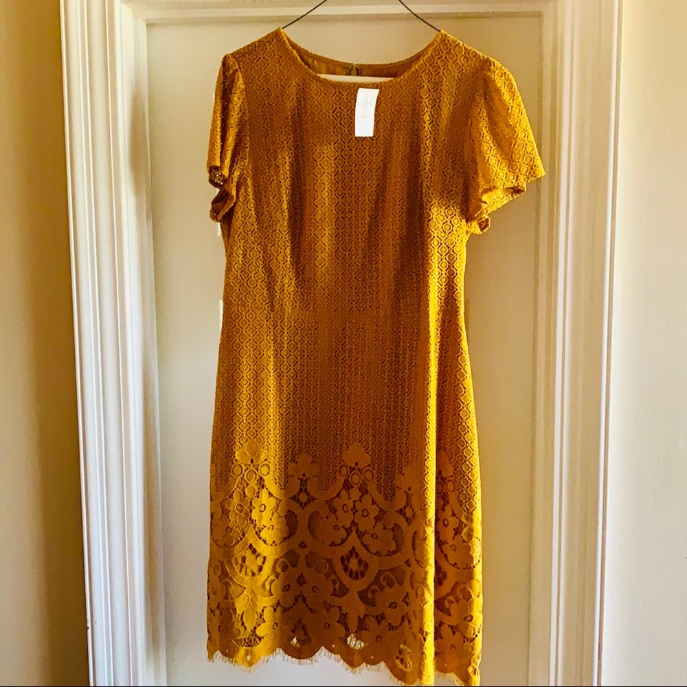 NWT Loft Outlet Mustard Yellow Lace Dress